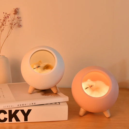 Cozy Cat House Lamp