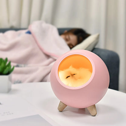 Cozy Cat House Lamp